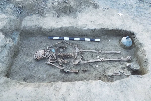 Fouilles Archéologiques Des Restes Humains Squelette Crânes Dans Sol Avec — Photo