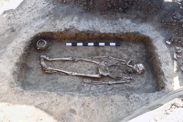 Archeologische Opgravingen Mens Blijft Botten Van Het Skelet Grond Met — Stockfoto