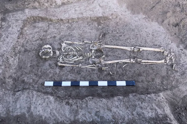 Archeologische Opgravingen Mens Blijft Botten Van Het Skelet Grond Met — Stockfoto