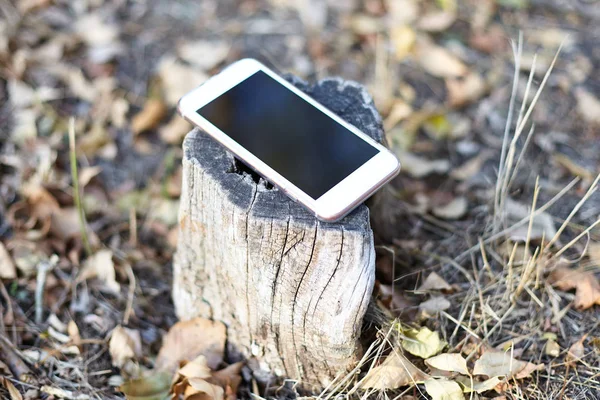 Close up image of light mobile phone with black screen left on the forest stump, nature autumn background. Concept of calm, at the middle of autumn forest or park. Outdoors, copy space.