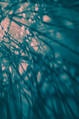 Açık ve koyu neon turuncu şeftali vurguları, Fotodinamik ifade, teller, elektronik ağları ile Akuamarin turkuaz arka plan, gölgeler. Gelecekteki kavramı. Kopya alanı.