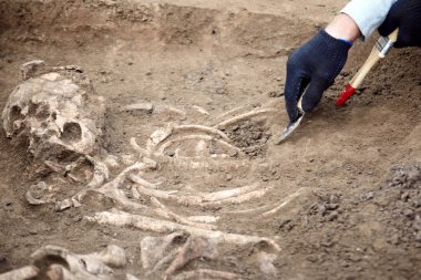 Archaeological excavations. The archaeologist in a digger process. Close up hands with knife and brush conducting research on human bones, part of skeleton and skull in the ground. Outdoors, copy space. clipart