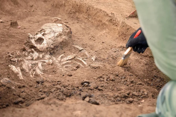 考古发掘 考古学家在挖掘机过程中 用刷子合拢双手 对人体骨骼 部分骨骼和头骨进行研究 复制空间 — 图库照片