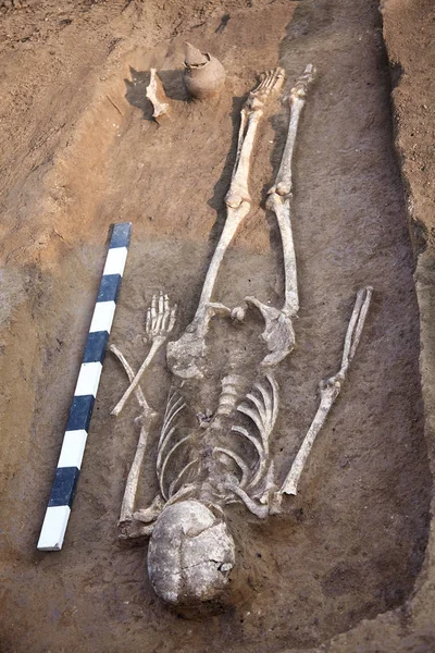 Archäologische Ausgrabungen Menschliche Überreste Skelett Und Schädelknochen Boden Grab Ein — Stockfoto