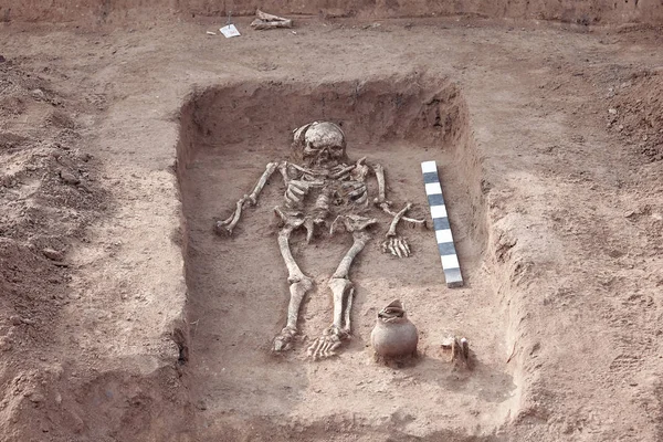 Escavações Arqueológicas Restos Humanos Esqueleto Com Crânio Chão Totalmente Limpos — Fotografia de Stock