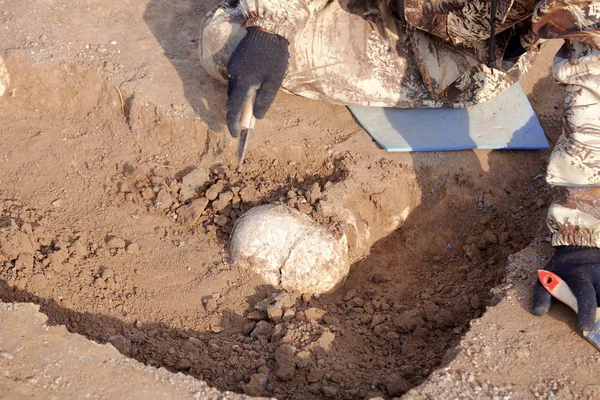 Escavações Arqueológicas Arqueólogo Num Processo Escavação Feche Mãos Com Faca — Fotografia de Stock