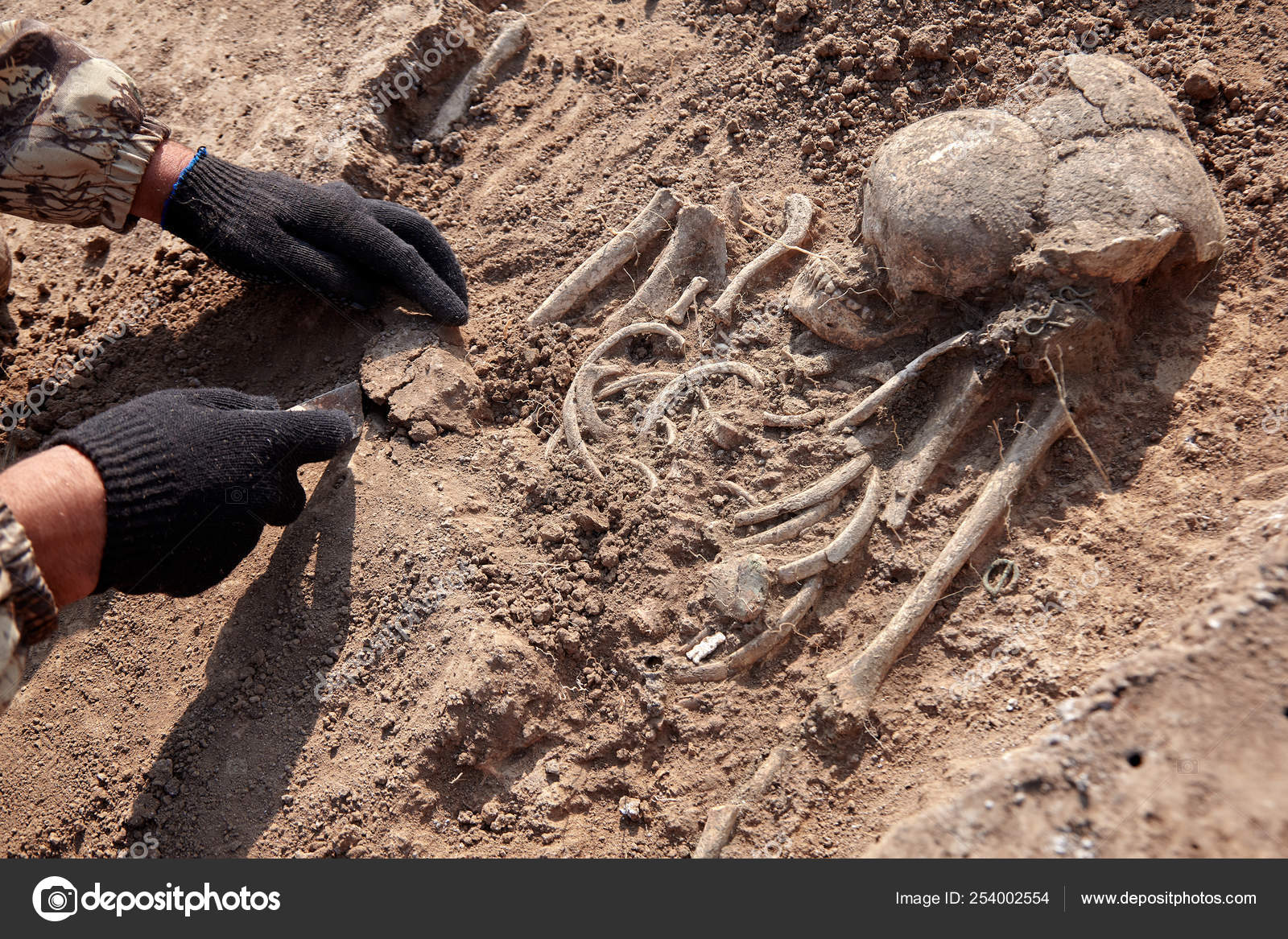 Archaeological Excavations Archaeologist Digger Process Researching Tomb  Human Bones Part Stock Photo by ©xolo-dan 254001256