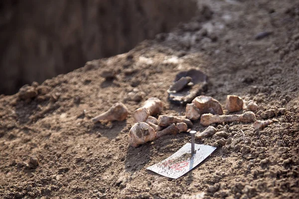 Părţile Oaselor Pământ Săpături Arheologice Închide Rămăşiţele Umane Focalizare Selectivă — Fotografie, imagine de stoc