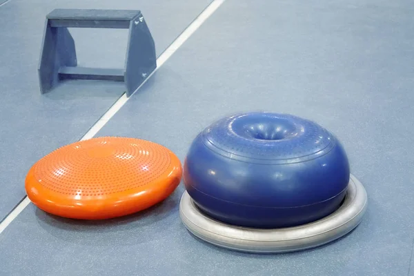 Rubber sport equipment (fitballs and wooden stand) in empty fitness room), different kinds of appliances for fitness. Healthy lifestyle concept. Dog fitness. Copy space.