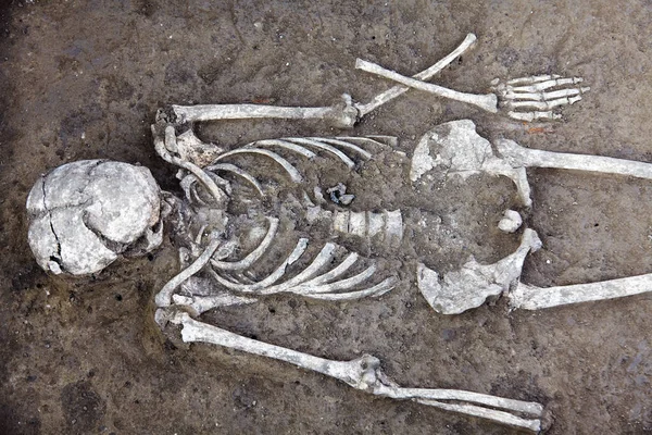 Archeologische Opgravingen Menselijke Overblijfselen Skelet Met Schedel Half Grond Real — Stockfoto