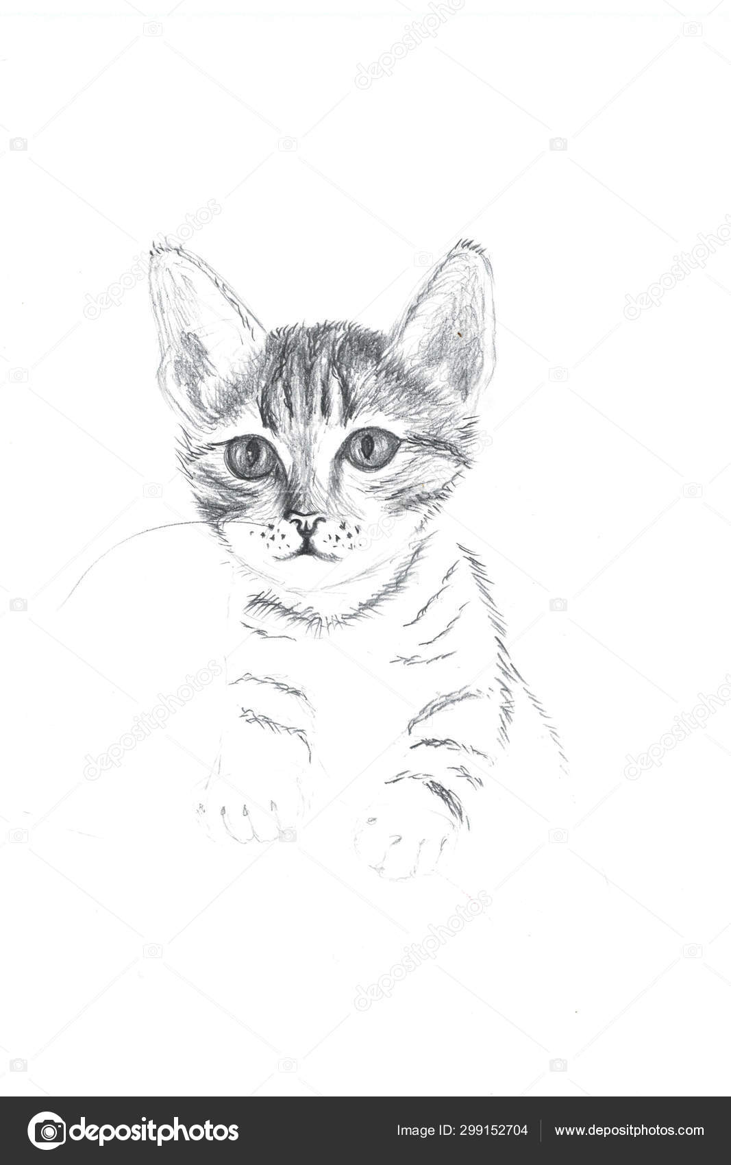 Croquis Inacheve Chat Fait Crayon Dessin Main Dans Ancien Style Image Libre De Droit Par Xolo Dan C Croquis Inacheve Chat Fait Crayon Dessin Main Dans Ancien Style Image Libre De Droit Par Xolo Dan C