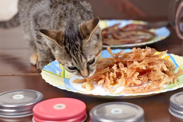Cute hungry little kitten eats chicken treats from the plate. Cat at home. Indoors, copy space, close up portrait.