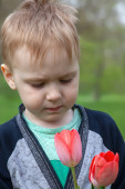 Aranyos fehér kisfiú tulipánvirággal, zöld pázsitos háttérrel. Kék szemek le, szőke haj, közeli portré. Szabadtéri, másolt tér.