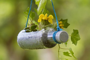 Geri dönüştürülmüş plastik şişeler ile yapılan el sanatları Bahçe
