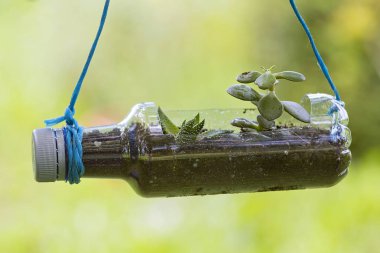 Geri dönüştürülmüş plastik şişeler ile yapılan el sanatları Bahçe
