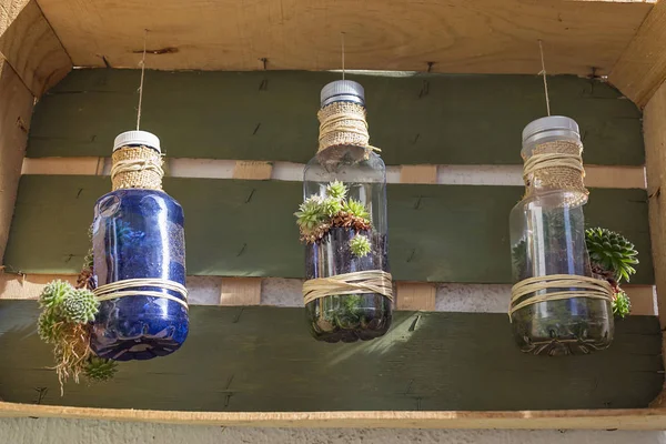 Ogrodnictwo Rękodzieło Wykonane Recyklingu Plastikowych Butelek — Zdjęcie stockowe