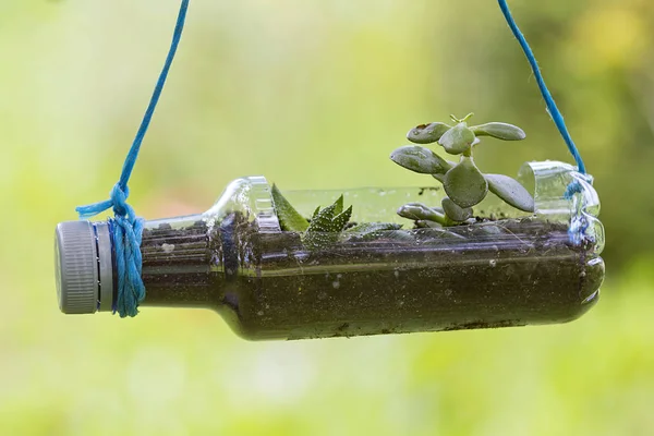 Geri dönüştürülmüş plastik şişeler ile yapılan el sanatları Bahçe