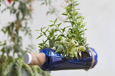 Geri dönüştürülmüş plastik şişeler ile yapılan el sanatları Bahçe
