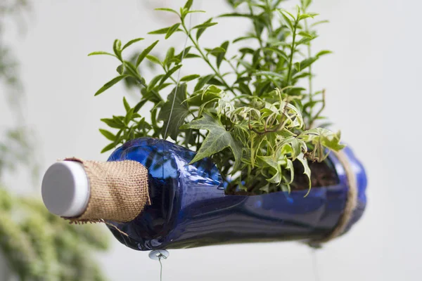 Gardening crafts made with recycled plastic bottles