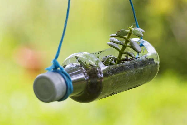 Bahçe için bir geri dönüşümlü plastik şişe