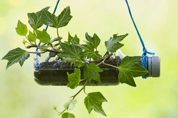 Bahçe için bir geri dönüşümlü plastik şişe