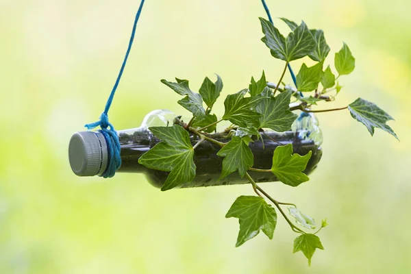 Bahçe için bir geri dönüşümlü plastik şişe