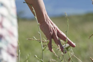 Bir kadının doğa, bitkiler ve çiçekler