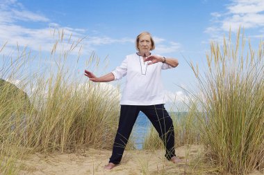 Tai Chi egzersiz sağlıklı kadın kıdemli