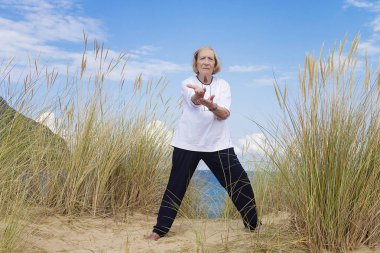 Tai Chi egzersiz sağlıklı kadın kıdemli