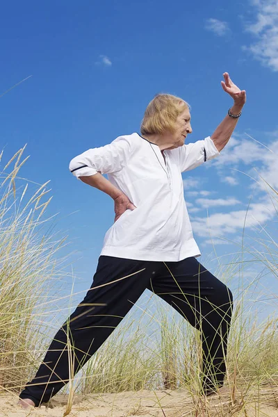 Tai Chi egzersiz sağlıklı kadın kıdemli