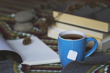 Bir fincan çay ve kitap bir sıcak sahne