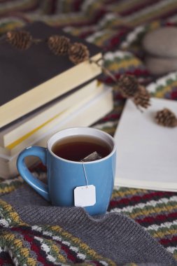 Bir fincan çay ve kitap bir sıcak sahne