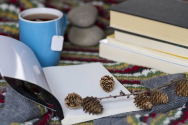 Bir fincan çay ve kitap bir sıcak sahne