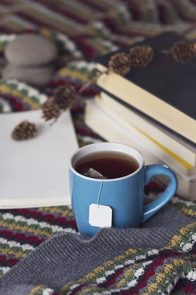 Bir fincan çay ve kitap bir sıcak sahne