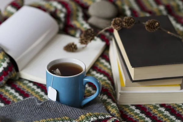 Bir fincan çay ve kitap bir sıcak sahne