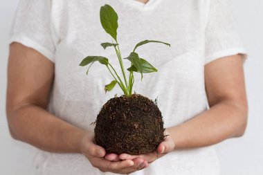Kokedama bitkisi tutan bir kadın.