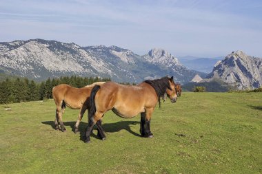Urkiola natural park landscape in Bizkaia, Basque Country