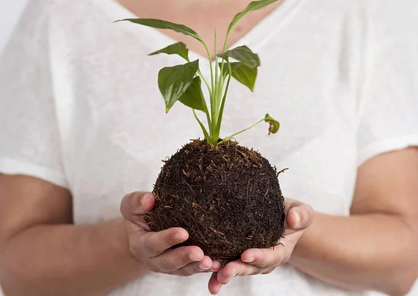 Kokedama bitkisi tutan bir kadın.