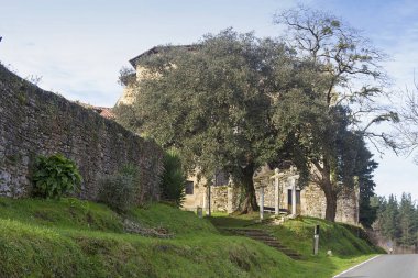 Vizcaya Bolibar kasabası ve Zenarruza manastırı, İspanya