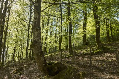 Aizkorri Dağı ve Gipuzkoa, İspanya 'daki doğal park 