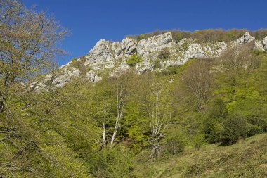Aizkorri Dağı ve Gipuzkoa, İspanya 'daki doğal park 