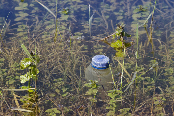 Plastic waste floating in a lake