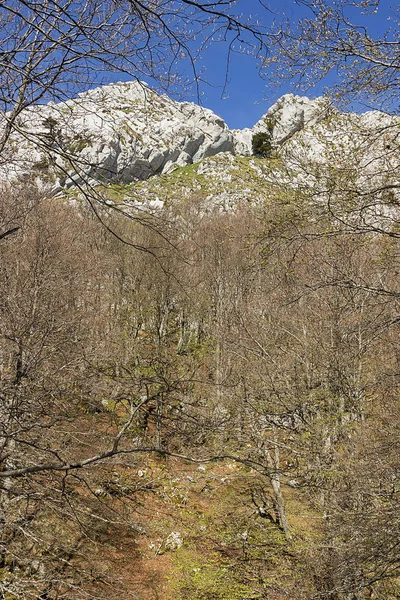 Aizkorri Bergen Natuurpark Gipuzkoa Spanje — Stockfoto