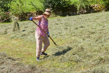 Otlakta çim toplayan bir çiftçi.