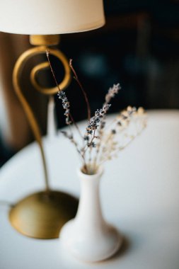 dostluk çocuk ve köpek kar dağlar