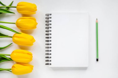 Açık not defteri, kalem ve beyaz zemin üzerine Sarı laleler