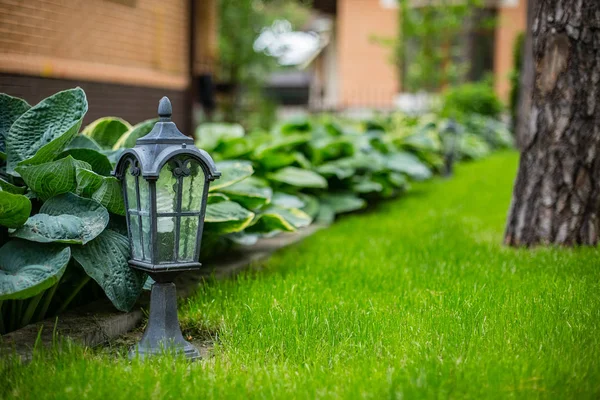 Gartenlaterne Auf Dem Grünen Gras Landschaftsplanung — Stockfoto