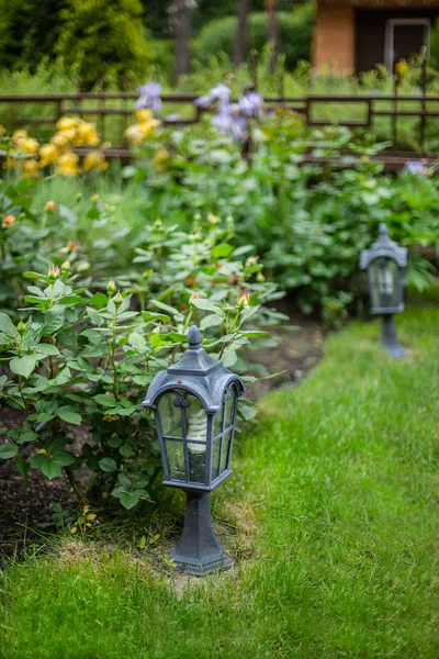 Garden lantern on the green grass. landscape design