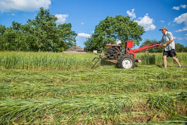 Work on an agricultural farm. A red tractor cuts a meadow.