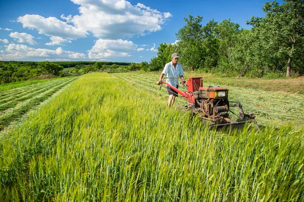 Egy Mezőgazdasági Farmon Dolgozom Egy Vörös Traktor Elvágja Rétet — Stock Fotó